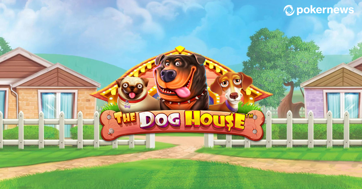 Dog House Megaways